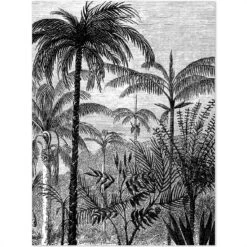 NoBoringSuitcases.com® Koffer - Jungle - Palmboom - Vintage - Zwart Wit - Past Binnen 55x40x20 Cm En 55x35x25 Cm - Handbagage - Trolley - Fotokoffer - Cabin Size - Print -Trolley Winkel 1200x1200 1418